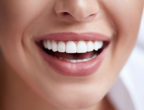 Anatomía dental: tipos de dientes y funciones