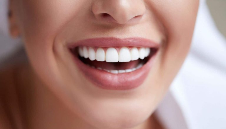 Anatomia-dental-tipos-de-dientes-y-funciones